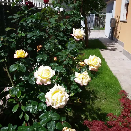 Al Sole * メストレ