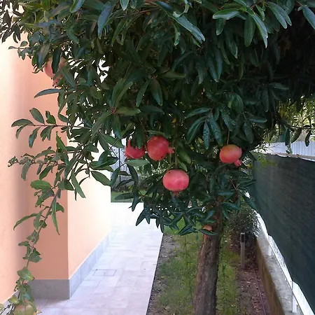 Al Sole Mestre