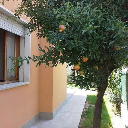 Al Sole Nyaraló *