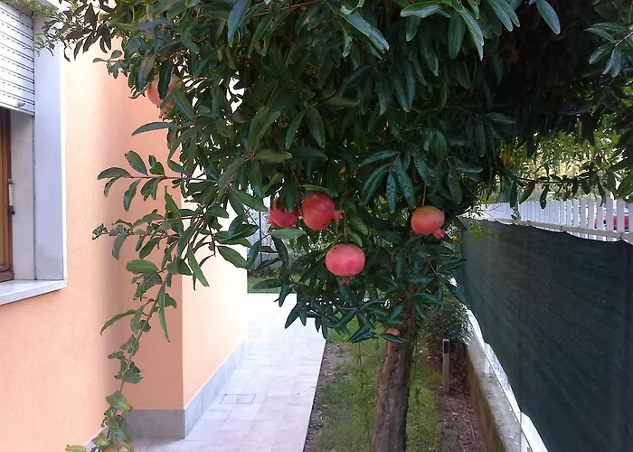 Al Sole Μέστρε