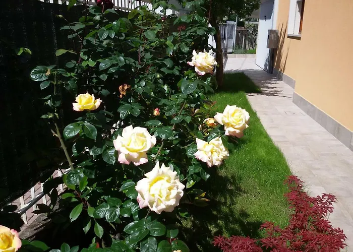 Al Sole * Μέστρε